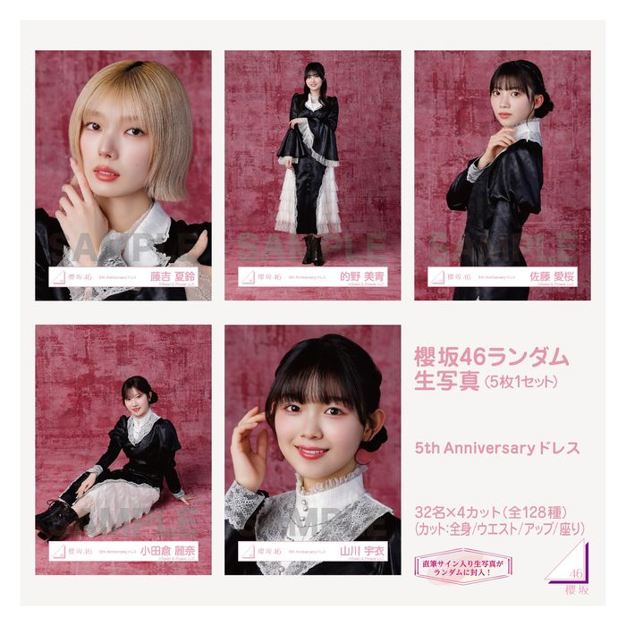 さくひな生写真コレクション