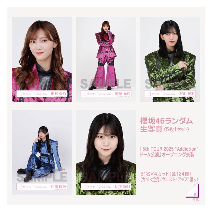 さくひな生写真コレクション