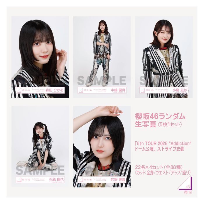 さくひな生写真コレクション
